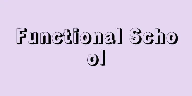 Functional School
