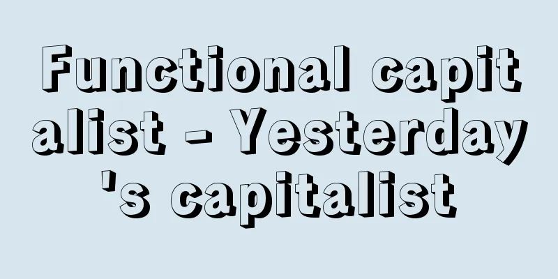 Functional capitalist - Yesterday's capitalist