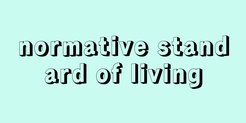 normative standard of living
