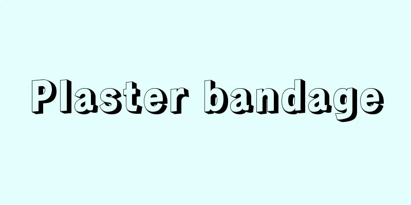 Plaster bandage