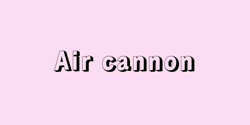 Air cannon