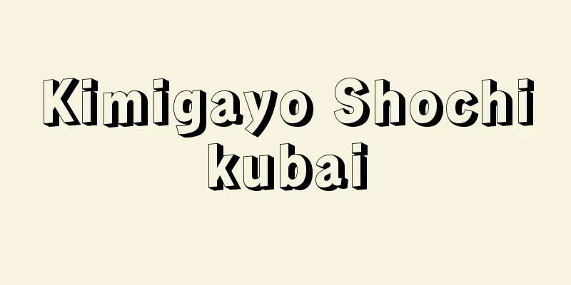 Kimigayo Shochikubai