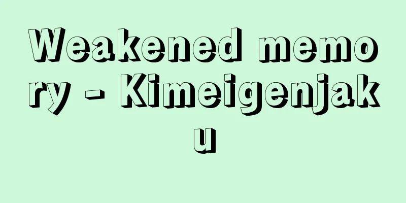Weakened memory - Kimeigenjaku
