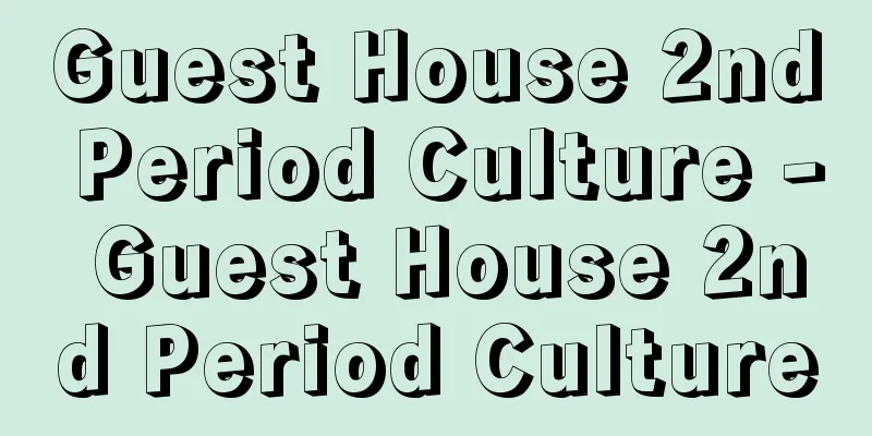 Guest House 2nd Period Culture - Guest House 2nd Period Culture