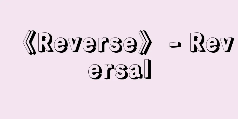 《Reverse》 - Reversal