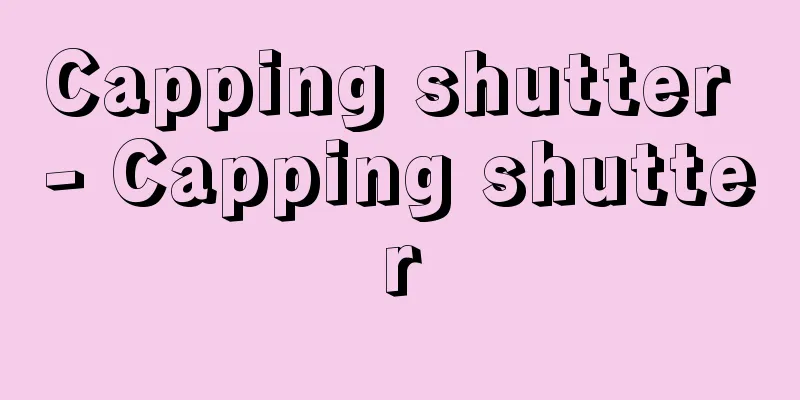 Capping shutter - Capping shutter