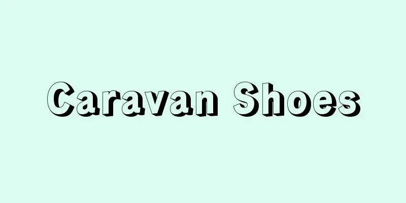 Caravan Shoes