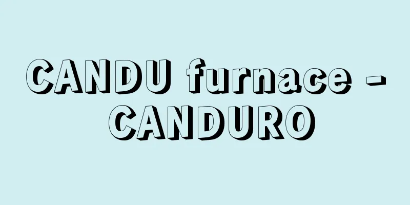 CANDU furnace - CANDURO