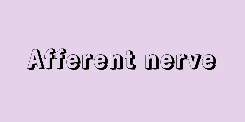 Afferent nerve