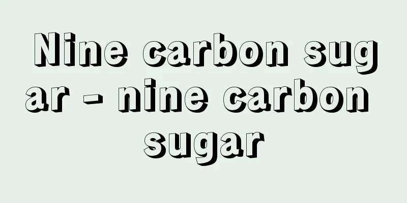 Nine carbon sugar - nine carbon sugar