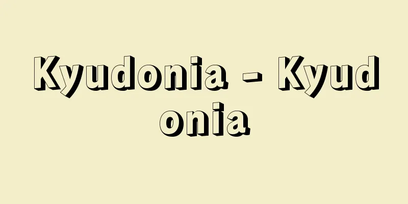 Kyudonia - Kyudonia