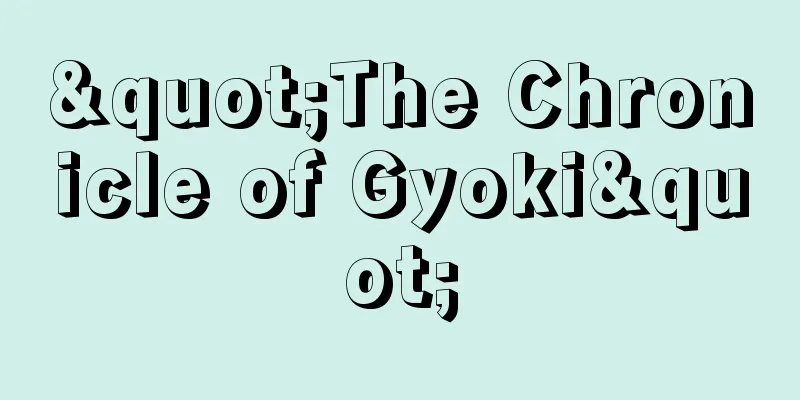 "The Chronicle of Gyoki"