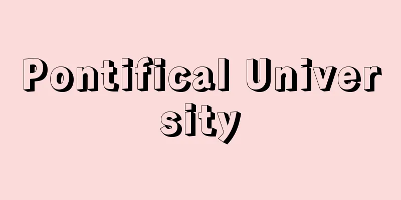Pontifical University