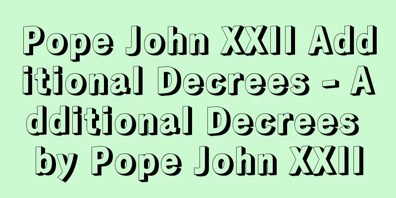 Pope John XXII Additional Decrees - Additional Decrees by Pope John XXII