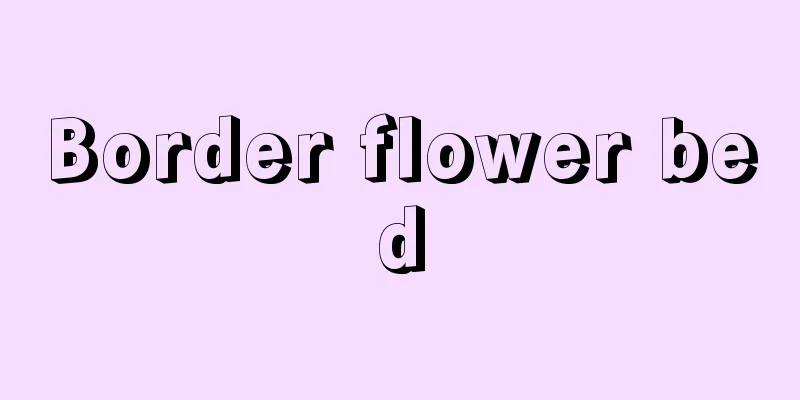 Border flower bed