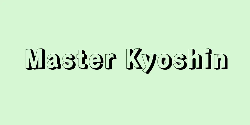 Master Kyoshin