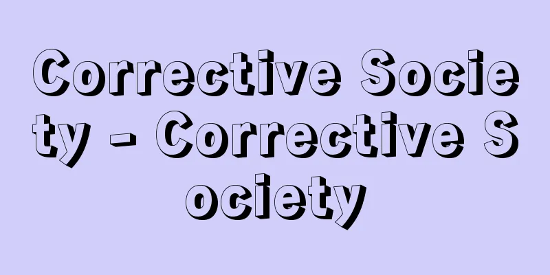Corrective Society - Corrective Society