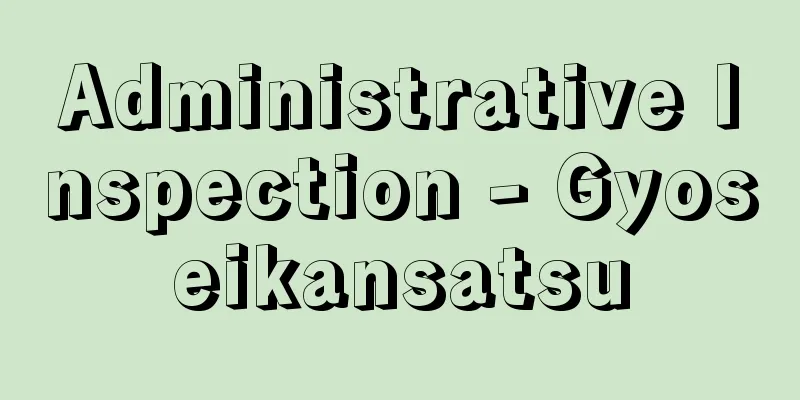 Administrative Inspection - Gyoseikansatsu