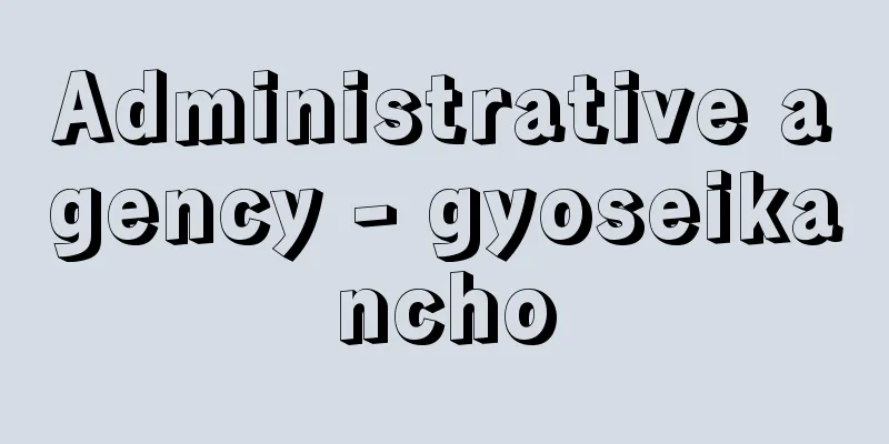 Administrative agency - gyoseikancho