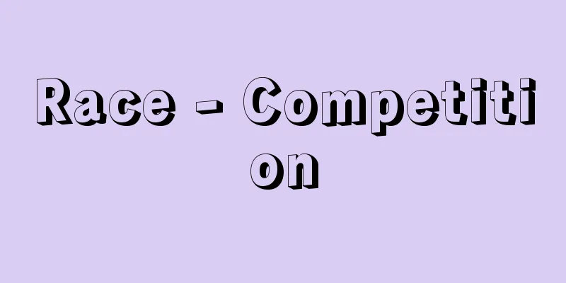 Race - Competition