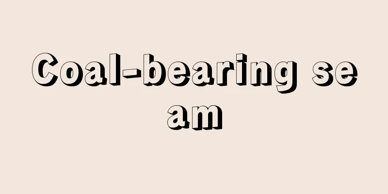 Coal-bearing seam