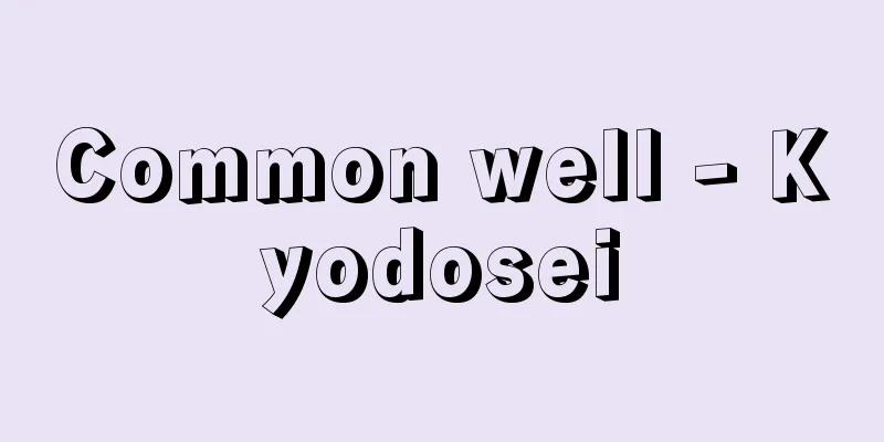 Common well - Kyodosei