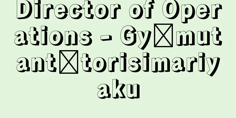 Director of Operations - Gyōmutantōtorisimariyaku