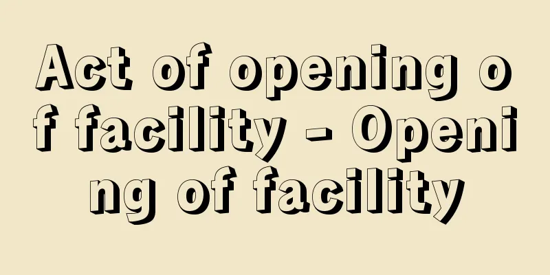 Act of opening of facility - Opening of facility