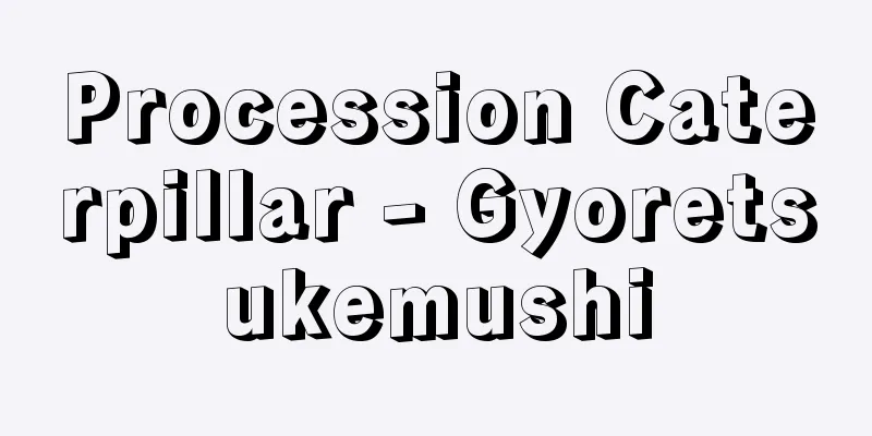 Procession Caterpillar - Gyoretsukemushi