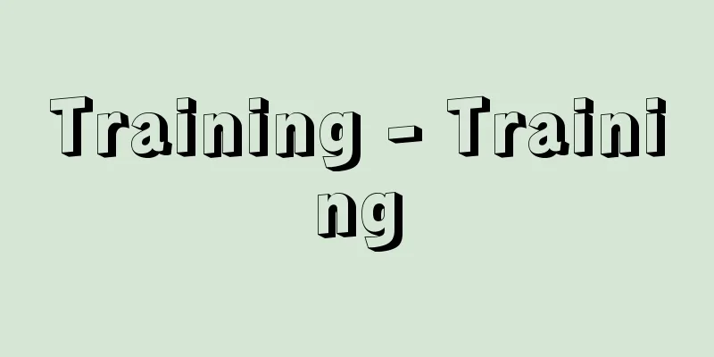 Training - Training