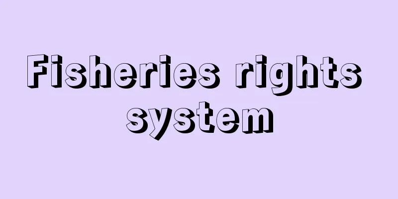 Fisheries rights system