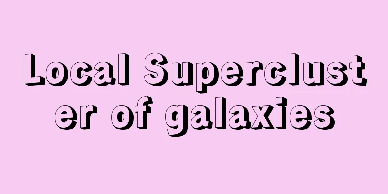 Local Supercluster of galaxies