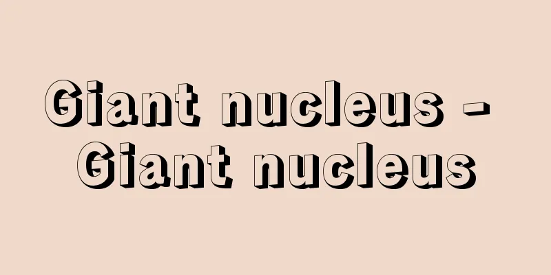 Giant nucleus - Giant nucleus