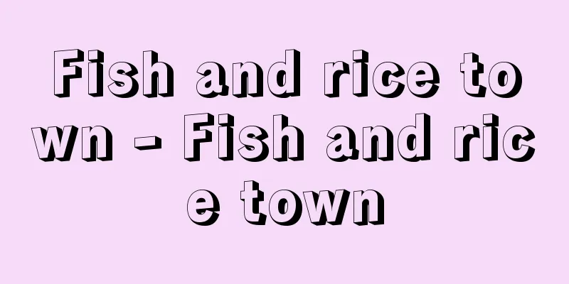Fish and rice town - Fish and rice town