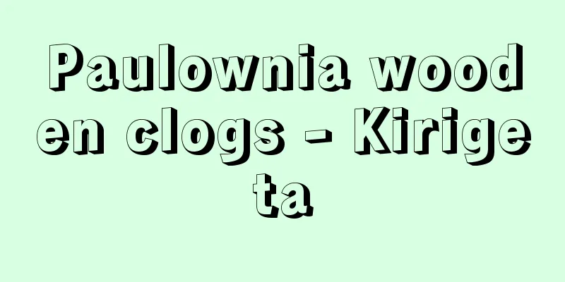 Paulownia wooden clogs - Kirigeta