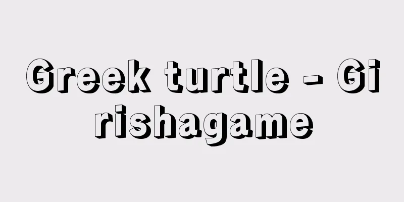 Greek turtle - Girishagame