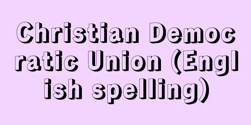 Christian Democratic Union (English spelling)