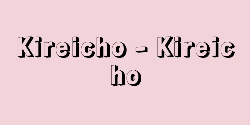 Kireicho - Kireicho