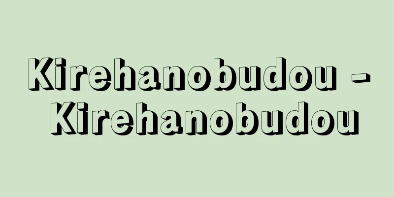 Kirehanobudou - Kirehanobudou
