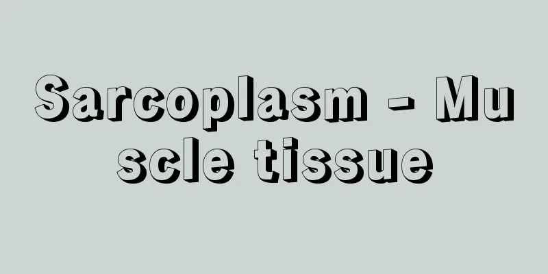 Sarcoplasm - Muscle tissue