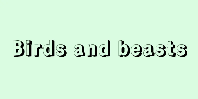 Birds and beasts