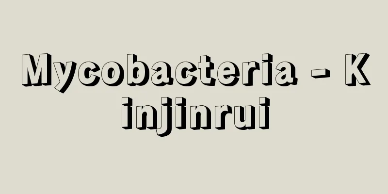 Mycobacteria - Kinjinrui