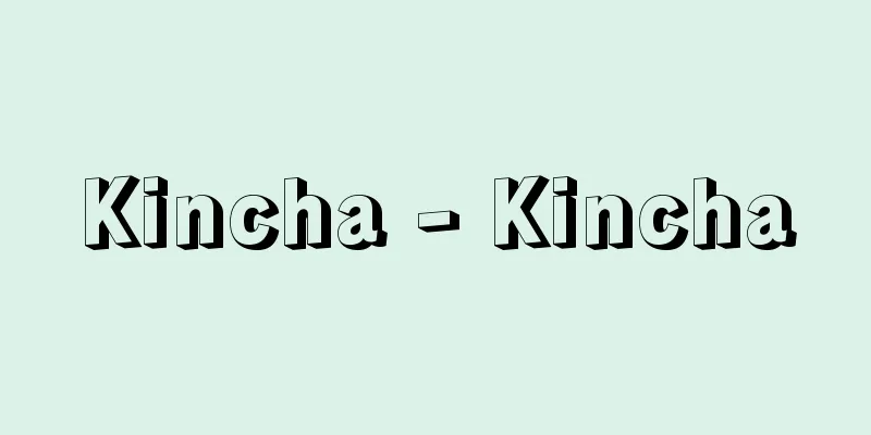 Kincha - Kincha