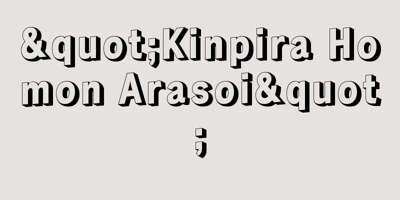 "Kinpira Homon Arasoi"