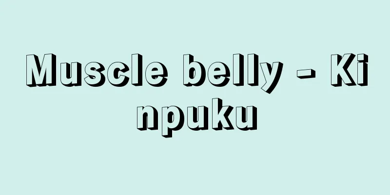 Muscle belly - Kinpuku