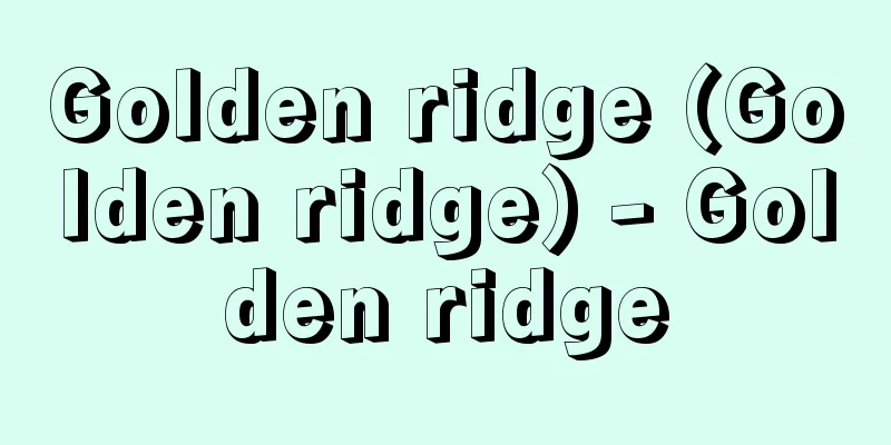 Golden ridge (Golden ridge) - Golden ridge