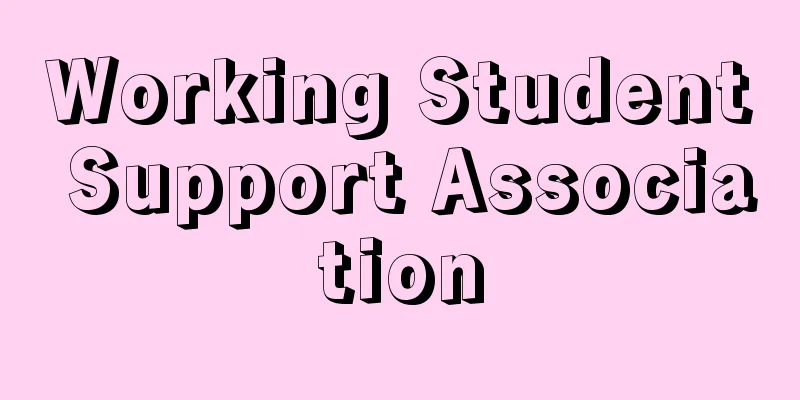 Working Student Support Association