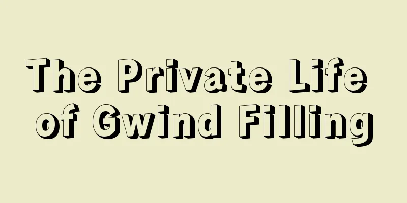 The Private Life of Gwind Filling