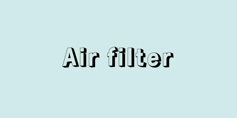 Air filter