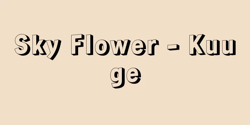 Sky Flower - Kuuge